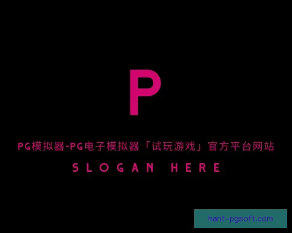 关于pg模拟器